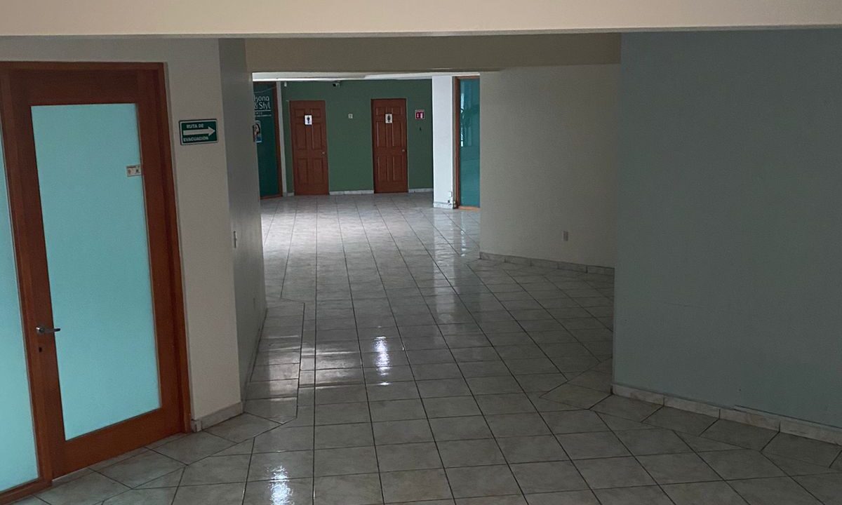 Imagen de WhatsApp 2024-10-01 a las 12.58.07_b4b0aceb